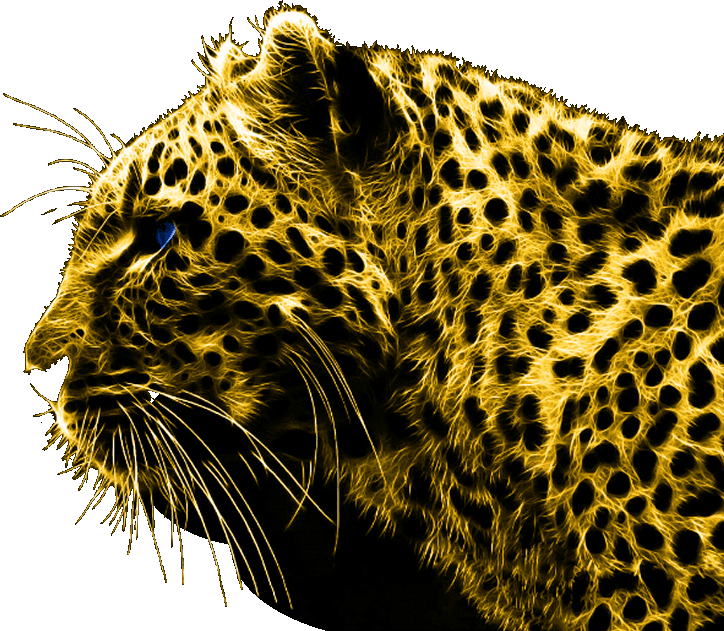 ENP RECOVERIES VISION